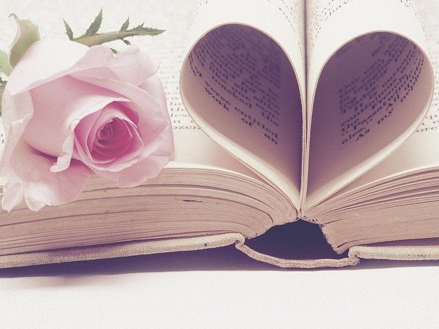 Why Would an Intelligent Woman Read Romance?